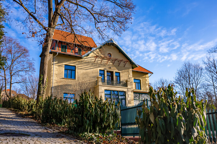 Příběh Arnoldovy vily